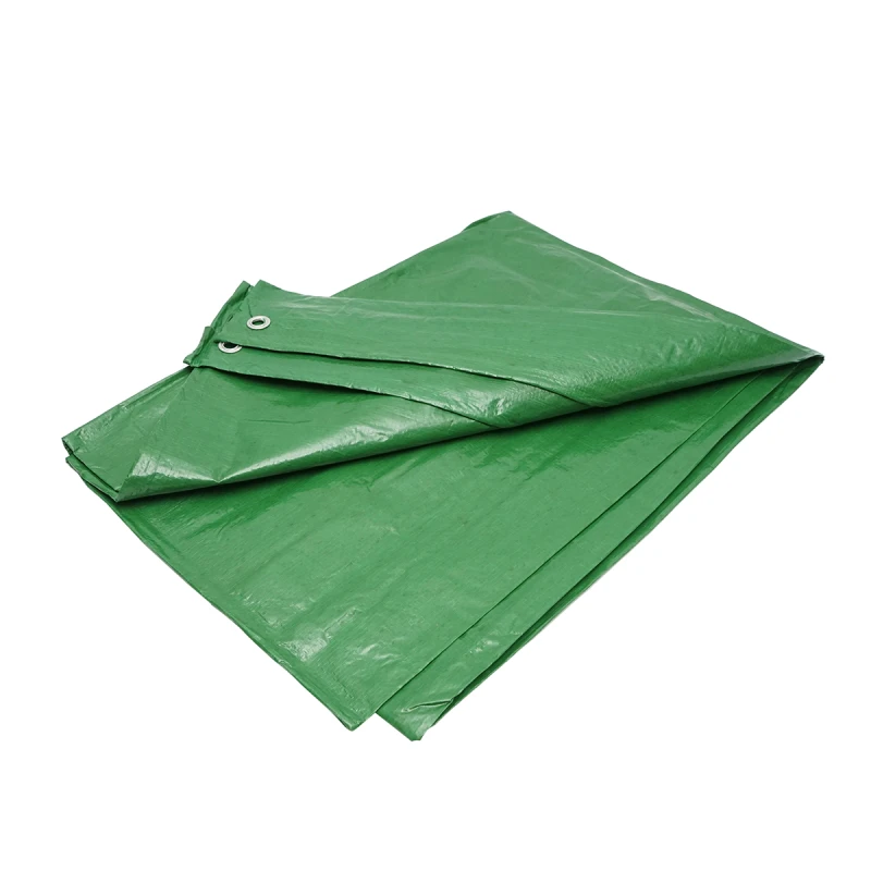 Prelata cu ochiuri de prindere 100g/m2 verde 2x3m Breckner Germany