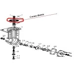 Coroana dintata RURIS PS1001ksd-4-5, 41 dinti, pentru motocultor Ruris