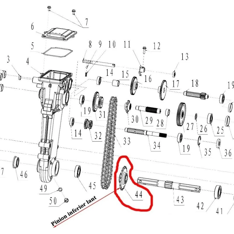 Roata dintata inferior lant RURIS PS6500k-1-44, pentru motosapa Dac, Ruris, Zimbru, Gigant