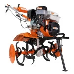 Motosapa RURIS 731ACC1, 8.5 CP, 208 cc, roti cauciuc + roti metalice 400 + rarita + plug + dispozitiv cartofi + cultivator