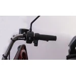Tricicleta electrica Gulliver autonomie 90 km viteza 25 km/h bena basculabila obloane rabatabile putere 2000W acumulatori 72V/58Ah, reductor pentru greu si usor mecanic