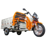 Triciclu electric RURIS Pilot 3130A, autonomie de 80 km, 3600W, viteza maxima de 25 km/h, conform reglementarilor UE, fara permis