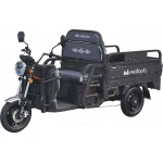 Triciclu Electric Cargo TRCC1000, putere maxima 2000W, 60V/45Ah, Autonomie 72 km, 520 kg, viteza maxima de 25 km/h, conform reglementarilor UE, fara permis