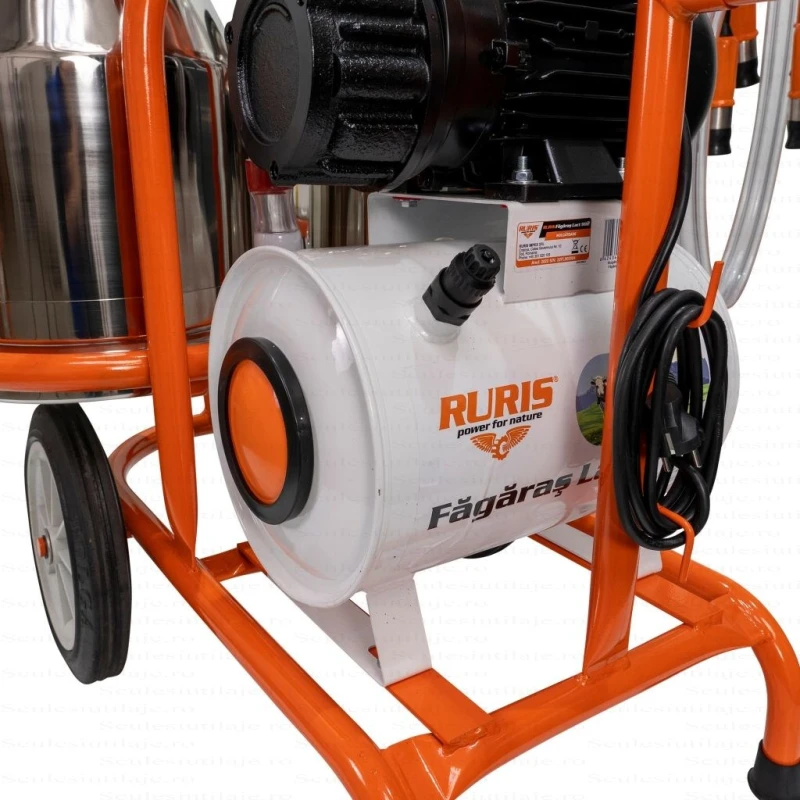 Mulgatoare RURIS Fagaras Lact 902, 2 posturi, 2 bidoane inox 60L, 550W