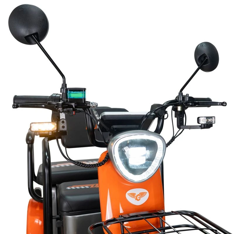 Triciclu Electric RURIS Pilot 3020G, Motor Electric 2000W, Baterie Plumb-Acid 60V 20Ah, Autonomie pana la 50 km, Viteza maxima 25 km/h, Capacitate 286 kg, Gri