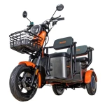 Triciclu Electric RURIS Pilot 3020G, Motor Electric 2000W, Baterie Plumb-Acid 60V 20Ah, Autonomie pana la 50 km, Viteza maxima 25 km/h, Capacitate 286 kg, Gri