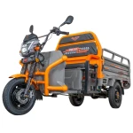 Triciclu Electric Cargo RURIS Pilot 3120G, 2000W, 72V 45Ah, Autonomie 70 km, Gri, viteza maxima de 25 km/h, conform reglementarilor UE, fara permis, gri