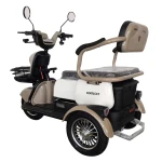 Triciclu electric Samus Kentucky-3R1-10T1000-60V20-Brown-White, Putere 1000 W, Autonomie 60 Km, viteza maxima de 25 km/h, conform reglementarilor UE, fara permis