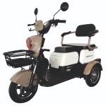 Triciclu electric Samus Kentucky-3R1-10T1000-60V20-Brown-White, Putere 1000 W, Autonomie 60 Km, viteza maxima de 25 km/h, conform reglementarilor UE, fara permis
