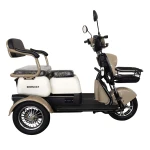 Triciclu electric Samus Kentucky-3R1-10T1000-60V20-Brown-White, Putere 1000 W, Autonomie 60 Km, viteza maxima de 25 km/h, conform reglementarilor UE, fara permis