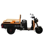Triciclu Cargo electric BLADE Active R6 1300W, autonomie pana la 50 km, baterie plumb-acid 72 V/20 Ah, viteza maxima de 25 km/h, conform reglementarilor UE, fara permis, Negru-Portocaliu