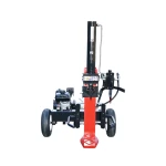 Despicator lemne vertical cu motor pe benzina 196CC, putere despicare 22T, bustean 610x400mm Breckner Germany