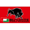 BISONTE