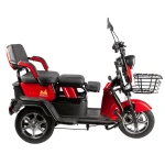 Triciclu electric TRC1000 EvoTools, 1000 W, viteza maxima de 25 km/h, conform reglementarilor UE, fara permis