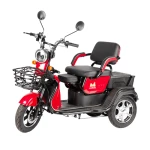 Triciclu electric TRC1000 EvoTools, 1000 W, viteza maxima de 25 km/h, conform reglementarilor UE, fara permis