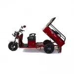 Tricicleta electrica Rotakt Nautilus, autonomie 70 Km, viteza 25 km/h, bena basculabila, putere 1600W, acumulatori 60v/32Ah, culoare visinie, fara permis, reductor pentru greu si usor mecanic