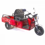 Tricicleta electrica Rotakt Nautilus, autonomie 70 Km, viteza 25 km/h, bena basculabila, putere 1600W, acumulatori 60v/32Ah, culoare visinie, fara permis, reductor pentru greu si usor mecanic