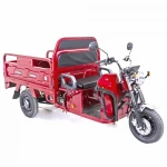 Tricicleta electrica Gulliver autonomie 90 km viteza 25 km/h bena basculabila obloane rabatabile putere 2000W acumulatori 72V/58Ah, reductor pentru greu si usor mecanic