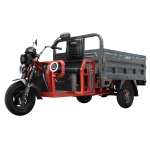 Triciclu electric, Samus Cargo TEXAS-25-1.7-72V58-Red-Dark Silver, putere maxima 4000W, acumulator 72V 58Ah, autonomie 70 km, viteza maxima de 25 km/h, conform reglementarilor UE, fara permis