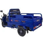 Tricicleta electrica Rotakt Guliver, fara permis, COC inclus, viteza 25 km/h, autonomie 68 km, 2000W, acumulatori 72V/58Ah, greutate admisa 617 kg, culoare albastru