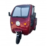Triciclu Electric Rotakt Courier – 2000W, 72V, 32Ah, Autonomie 79 km, Sarcina 478 kg + cabina