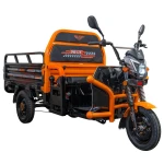 Triciclu Electric Cargo RURIS Pilot 3120N, 2000W, 72V 45Ah, Autonomie 70 km, Gri – Utilitar, Sarcina 542 kg, viteza maxima de 25 km/h, conform reglementarilor UE, fara permis, negru