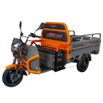 Triciclu Electric Cargo RURIS Pilot 3120G, 2000W, 72V 45Ah, Autonomie 70 km, Gri, viteza maxima de 25 km/h, conform reglementarilor UE, fara permis, gri
