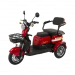 Tricicleta electrica Rotakt Safari, fara permis, CIV inclus, putere 1000W, viteza 25 km/h, autonomie 62 Km, acumulatori 60V/20Ah, greutate admisa 187 kg, gri