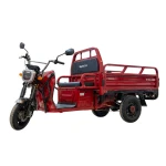 Triciclu Cargo electric BLADE Sprint 3.0 - 2000W, autonomie pana la 70 km, baterie plumb-acid 72V 45Ah, viteza maxima de 25 km/h, conform reglementarilor UE, fara permis, Rosu-Negru