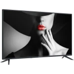 Televizor Diamant 40HL4300F/C, 101 cm (40 inch), Full HD, Direct LED, 3x HDMI, 2x USB, Clasa E, negru