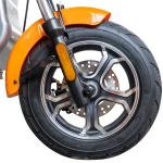 Triciclu electric RURIS PILOT 3040G, 2000W, baterie 72V 20Ah, autonomie 50 km, 25 km/h, 2 locuri, viteza maxima de 25 km/h, conform reglementarilor UE, fara permis