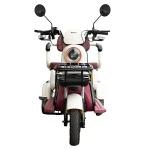 Triciclu electric Samus Kentucky-3R1-10T1000-60V20-Beige-Burgundy, Putere 1000 W, Autonomie 60 Km, viteza maxima de 25 km/h, conform reglementarilor UE, fara permis