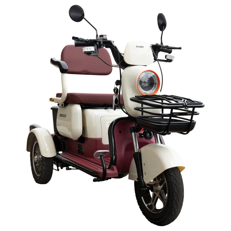 Triciclu electric Samus Kentucky-3R1-10T1000-60V20-Beige-Burgundy, Putere 1000 W, Autonomie 60 Km, viteza maxima de 25 km/h, conform reglementarilor UE, fara permis
