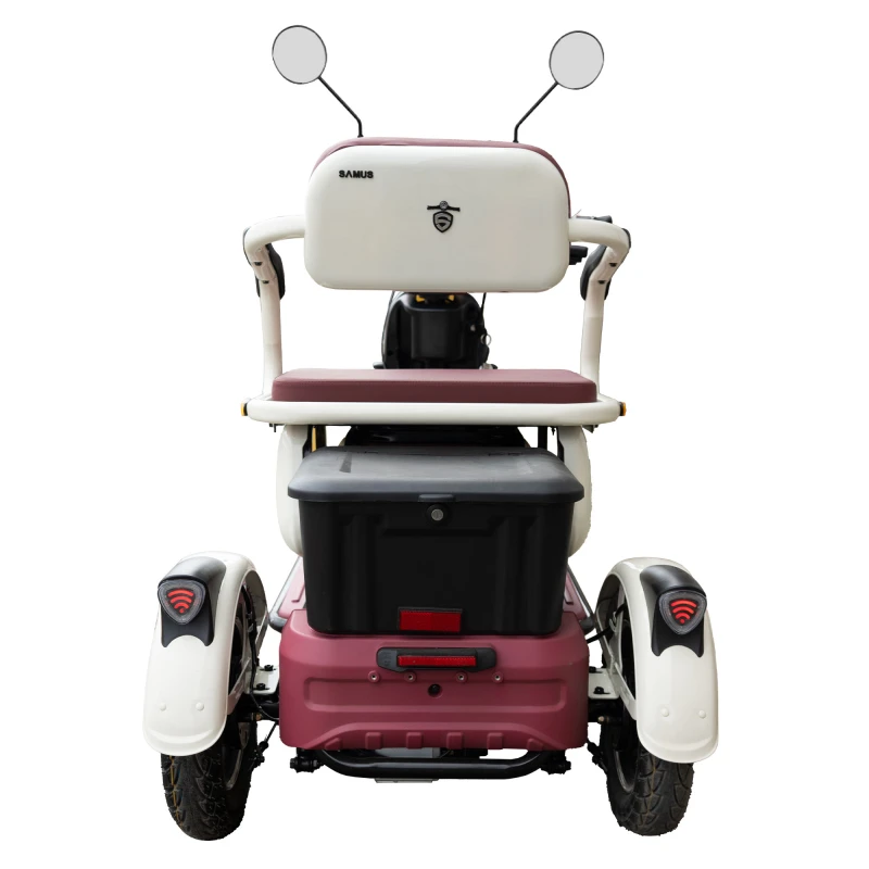 Triciclu electric Samus Kentucky-3R1-10T1000-60V20-Beige-Burgundy, Putere 1000 W, Autonomie 60 Km, viteza maxima de 25 km/h, conform reglementarilor UE, fara permis