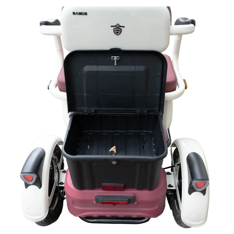 Triciclu electric Samus Kentucky-3R1-10T1000-60V20-Beige-Burgundy, Putere 1000 W, Autonomie 60 Km, viteza maxima de 25 km/h, conform reglementarilor UE, fara permis