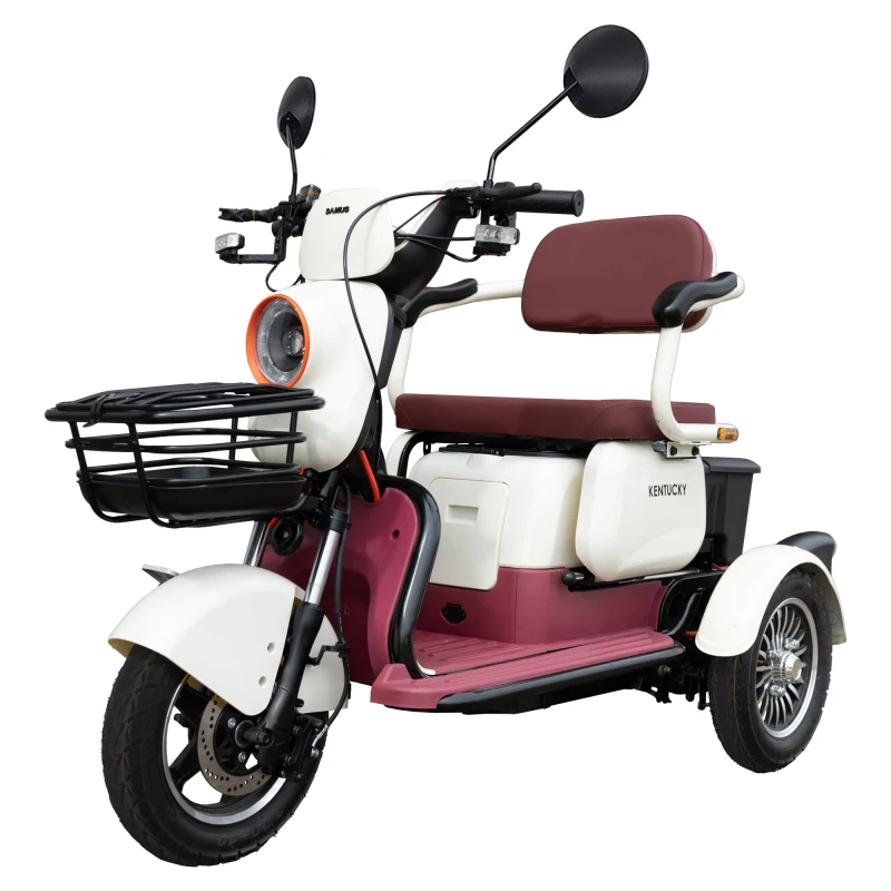 Triciclu electric Samus Kentucky-3R1-10T1000-60V20-Beige-Burgundy, Putere 1000 W, Autonomie 60 Km, viteza maxima de 25 km/h, conform reglementarilor UE, fara permis
