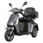 Triciclu electric, tricicleta, Samus Arizona-3R1-10T1000-60V20 Silver, motor 1000 W, acumulator 60V 20Ah, autonomie 50 km, viteza maxima de 25 km/h, conform reglementarilor UE, fara permis