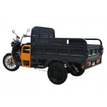 Triciclu Electric Cargo Progarden TRIVO 3000, 72V, 58Ah, incarcator inclus, putere 3000W, viteza maxima de 25 km/h, conform reglementarilor UE, fara permis, autonomie 80km
