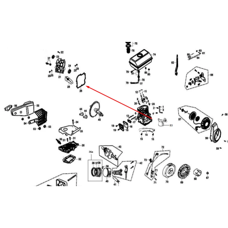 Garnitura carter Motopompa RURIS MP40